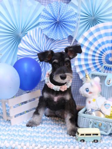 201231111音ちゃん